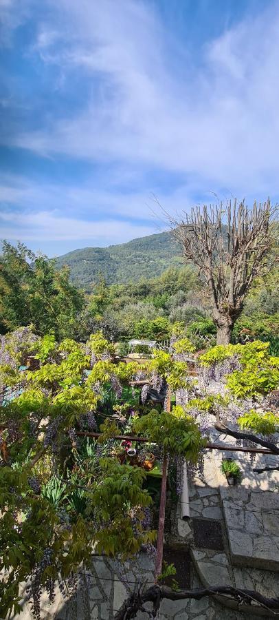 Studio De Charme + Terrasse : Verdon, Lac, Plages Claviers Eksteriør billede