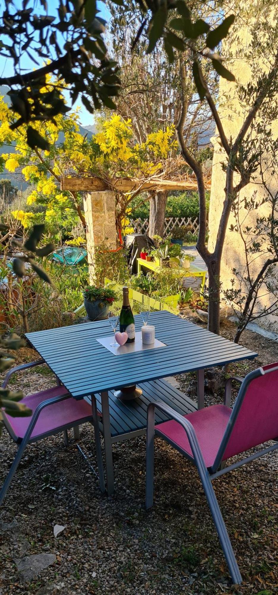 Studio De Charme + Terrasse : Verdon, Lac, Plages Claviers Eksteriør billede